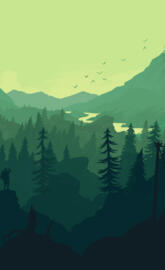 Floresta minimalista