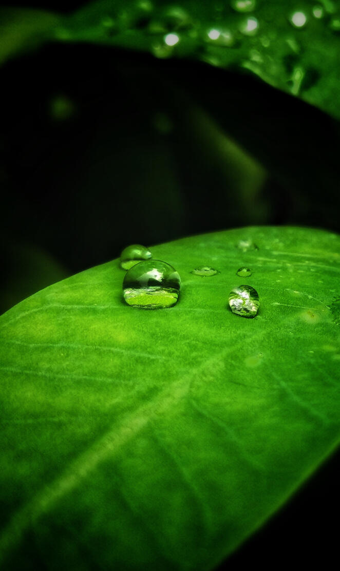 water drops