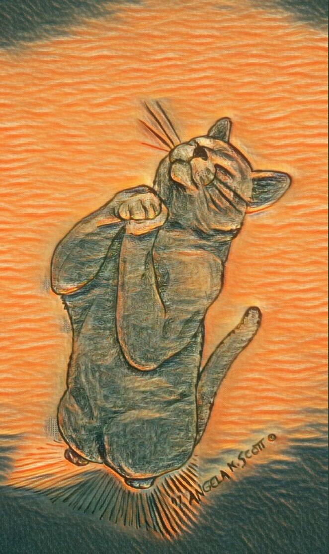 Praying Cat Art