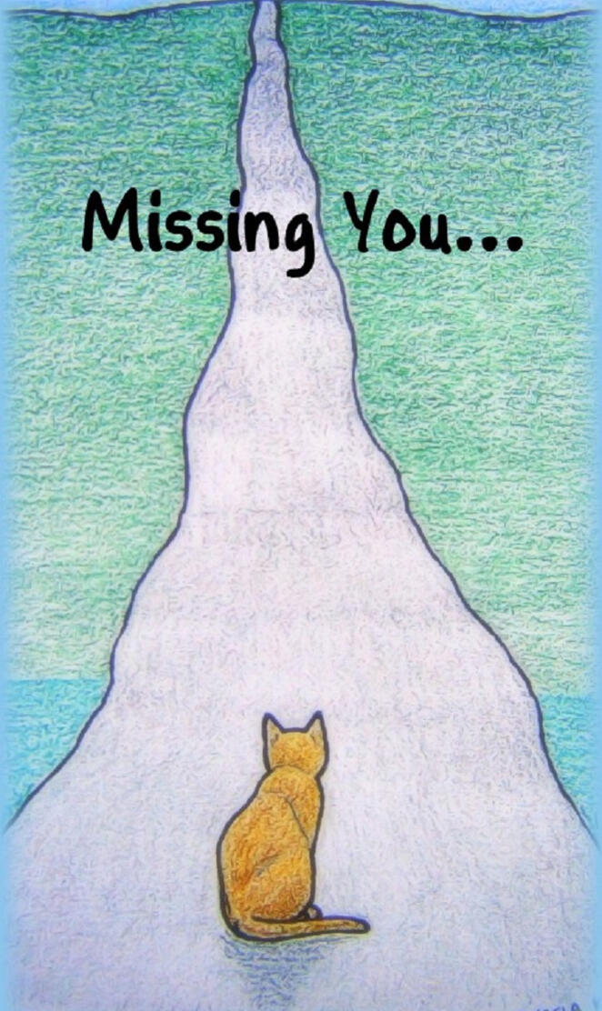 Missing You Cat art