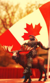 Canadian chief