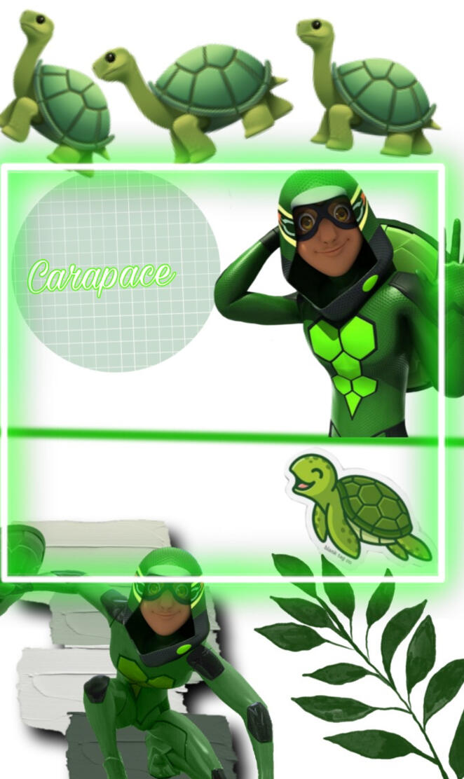Carapace