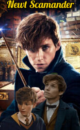 Newt Scamander
