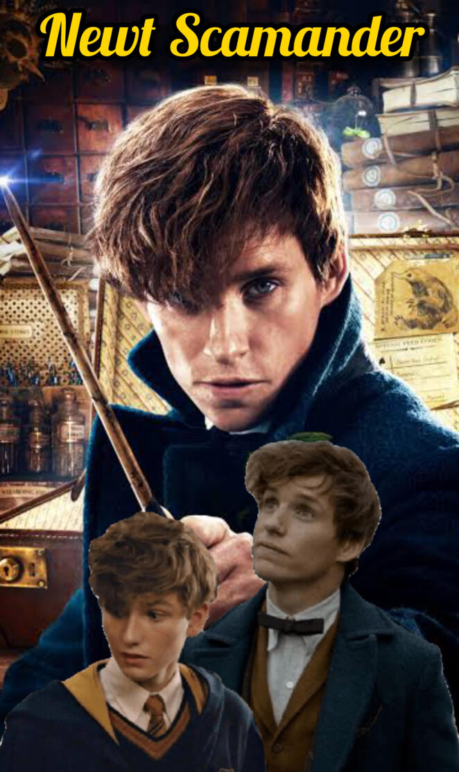 Newt Scamander