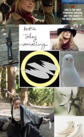 Sara Lance Wallpaper