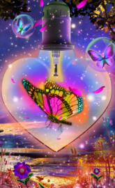 Butterfly in heart