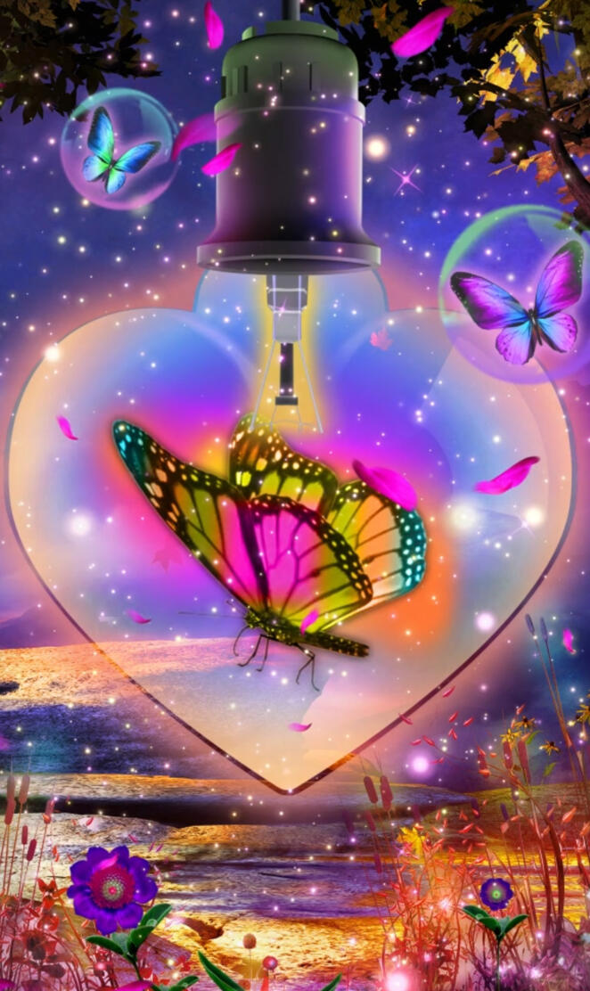 Butterfly in heart