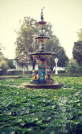 Water Fountain