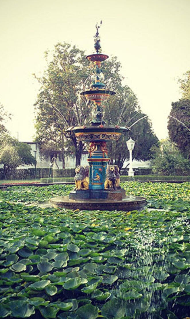 Water Fountain