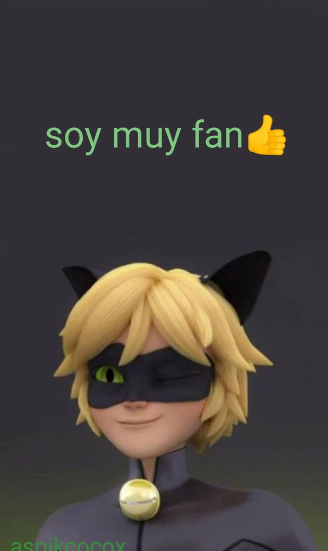 chatnoir xd