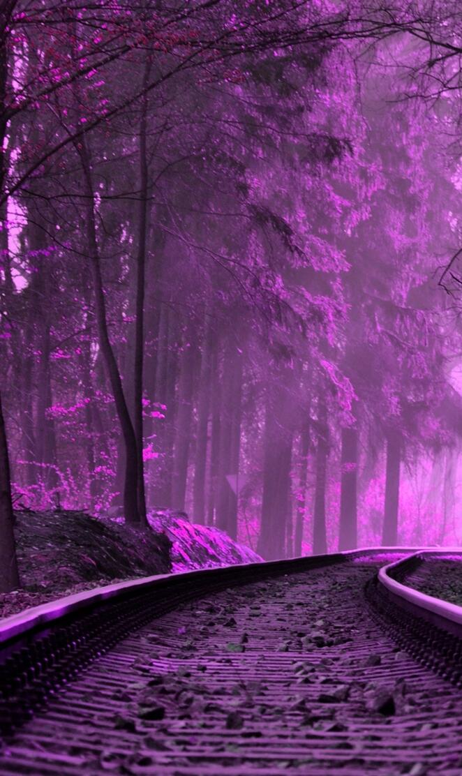 purple train tracks