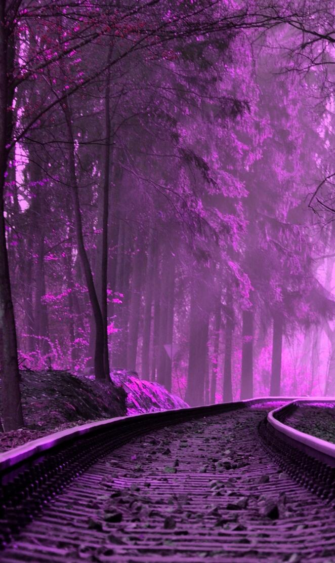 purple train tracks