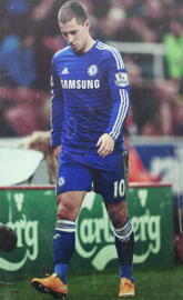 Hazard