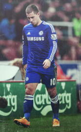 Hazard