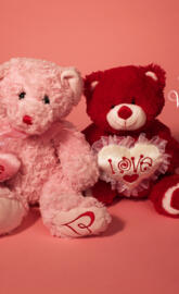 Happy Valentines Day