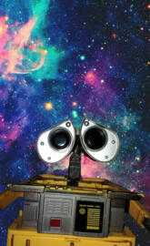 Wall-e in the GALAXY
