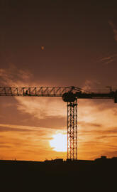 living stories of dead