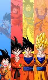 Fases de Goku 1