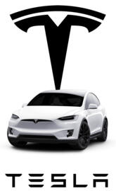 Tesla X