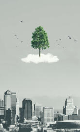 City Tree