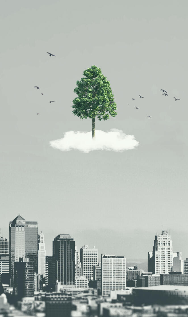 City Tree