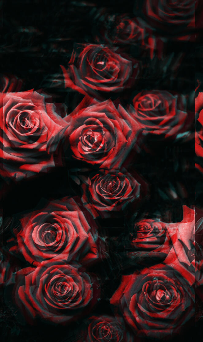 Distorted roses