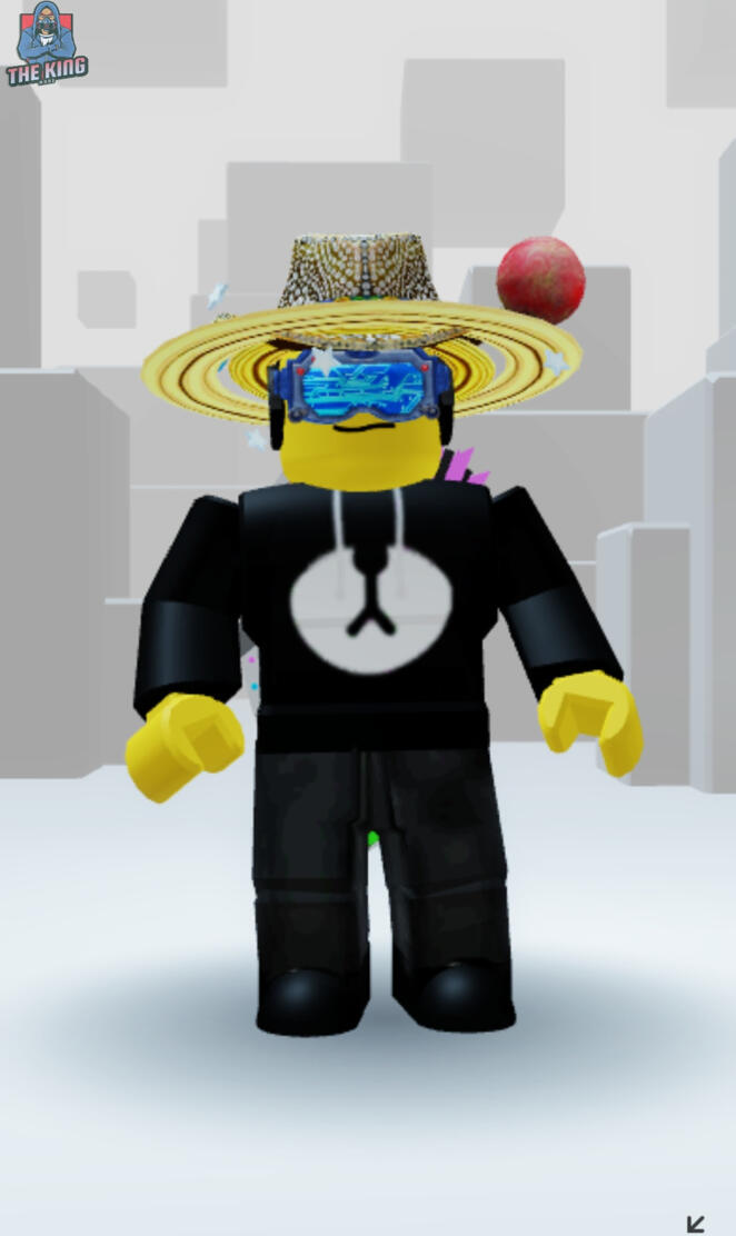 Roblox rayven1009