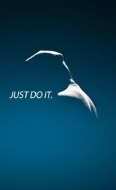 just do it