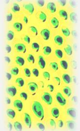 Palladium 1998 Retro