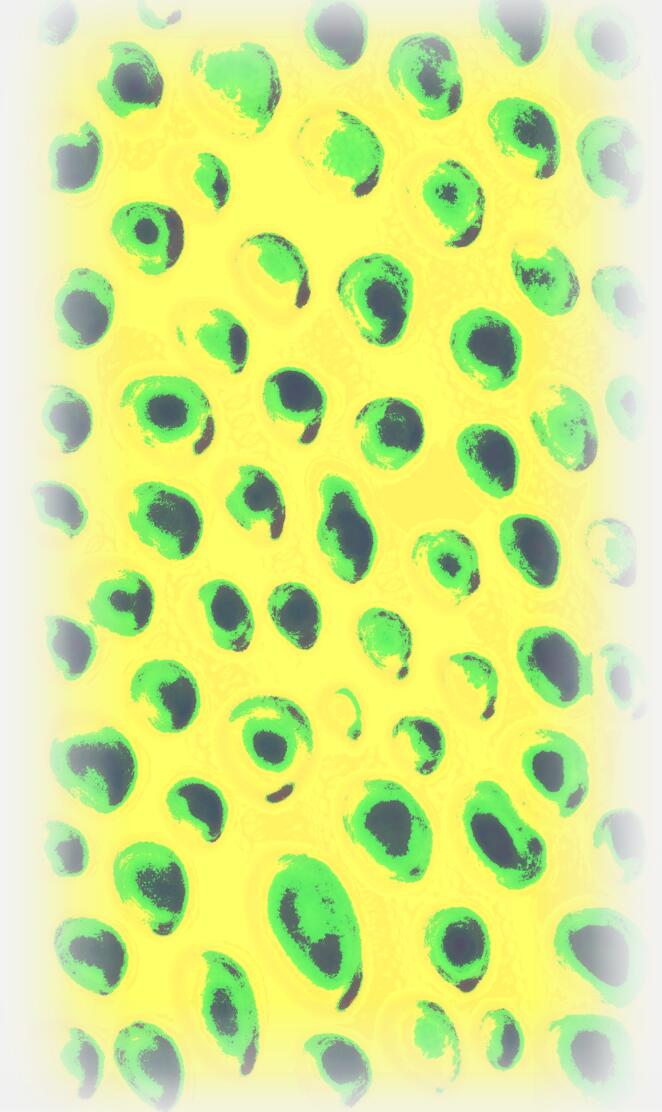 Palladium 1998 Retro