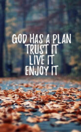 God has a plan