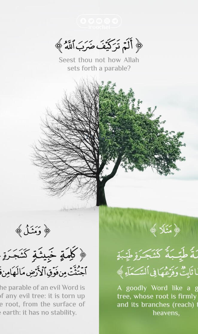 Quran quote