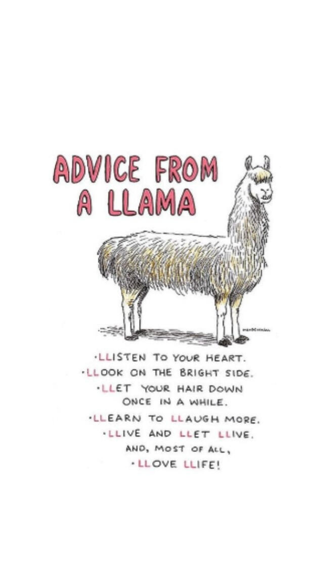 Advice from a llama