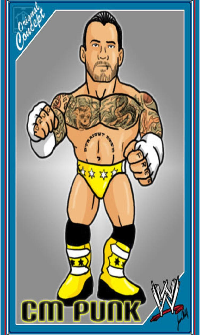 Hasbro CM Punk