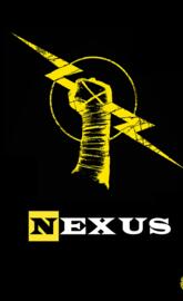 WWE NEXUS PUNK