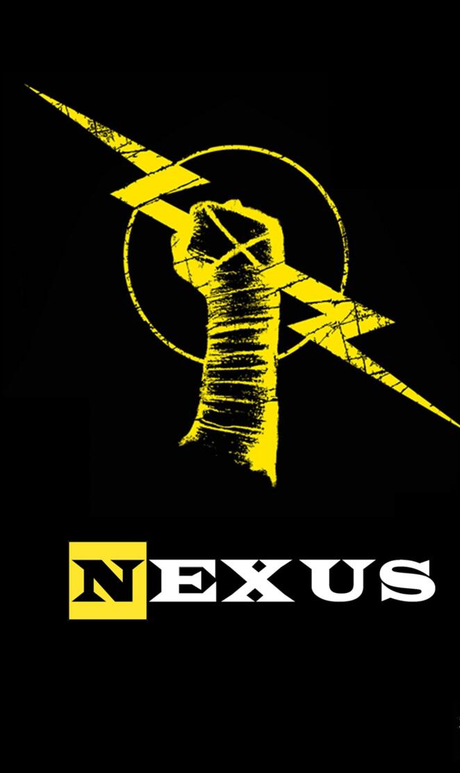 WWE NEXUS PUNK