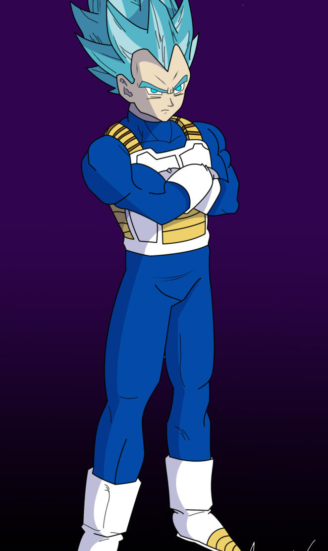 Vegeta SSJ Blue