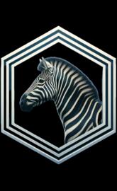 Zebra Head Octagon Art