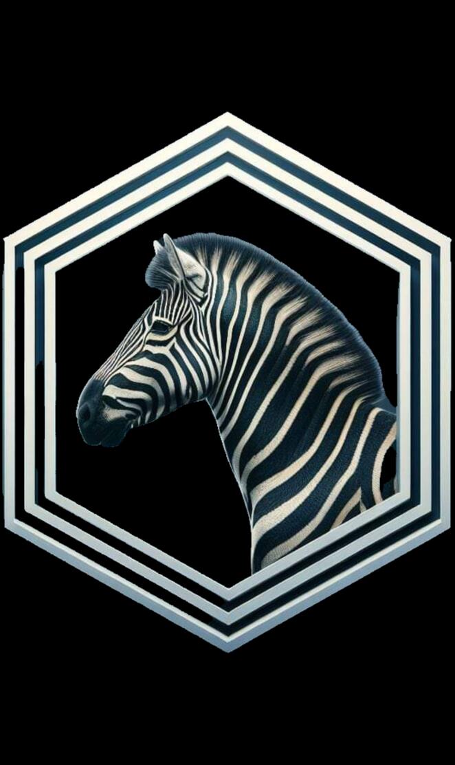 Zebra Head Octagon Art