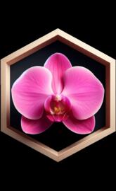 Pink Orchid Octagon