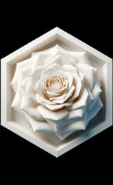 White Rose Octagon Art