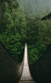 Suspension Bridge