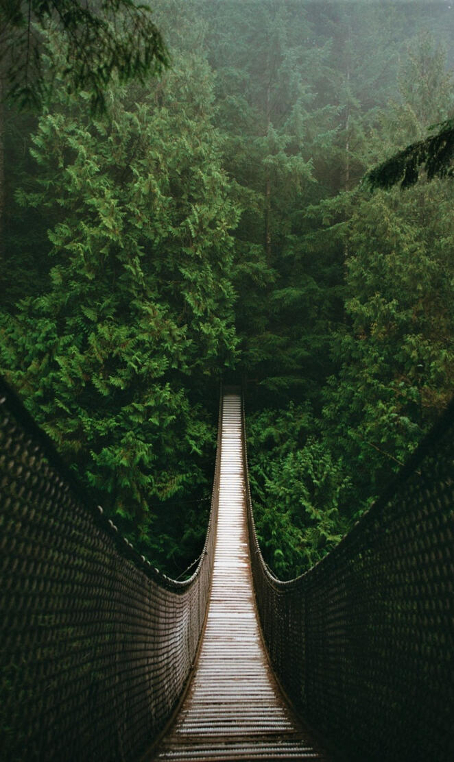 Suspension Bridge