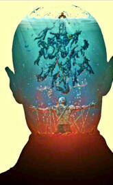 Split Within