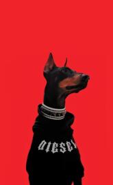 Diesel Dog