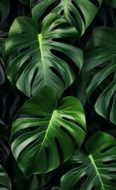 Botanic leafs
