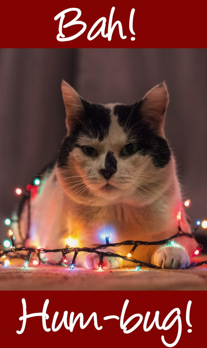 CatBahHumbug