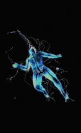 Uriel Bromberg - REPUTATION