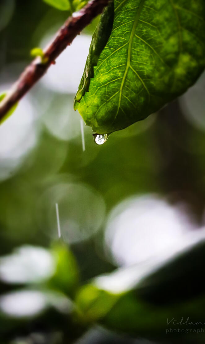 Nature Hd wallpapers