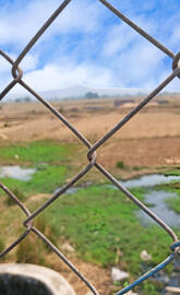 Fencing Chain Link Net For